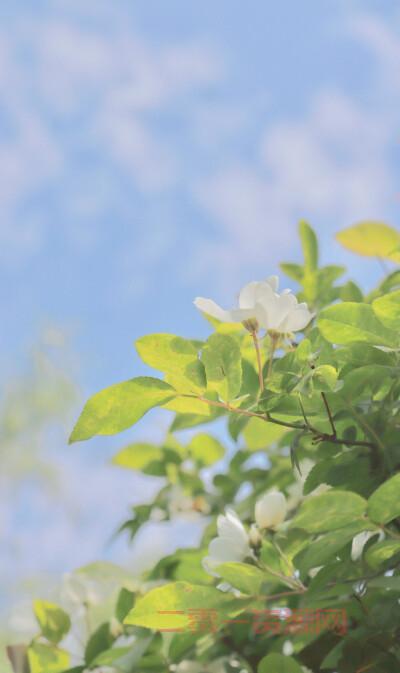 PSP壁纸大全:高清桌面背景下载与推荐