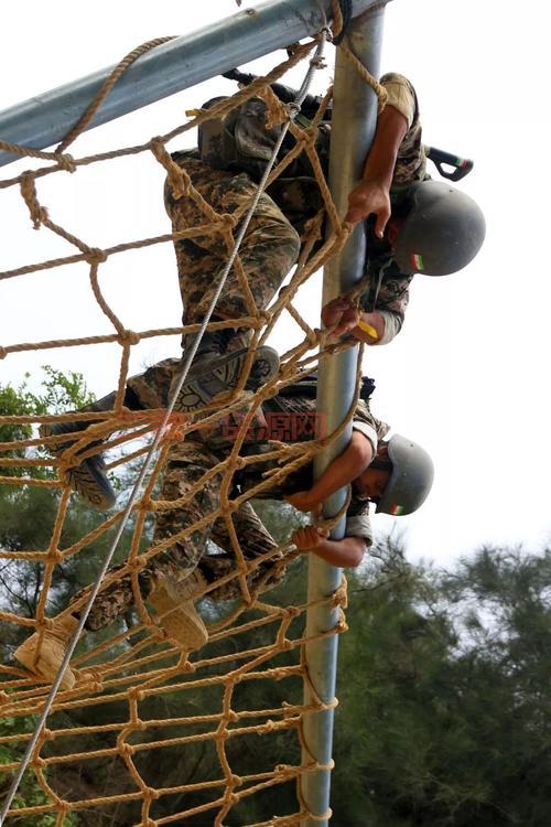 行尸走肉生存本能游戏评测：逃生与求生的极限挑战
