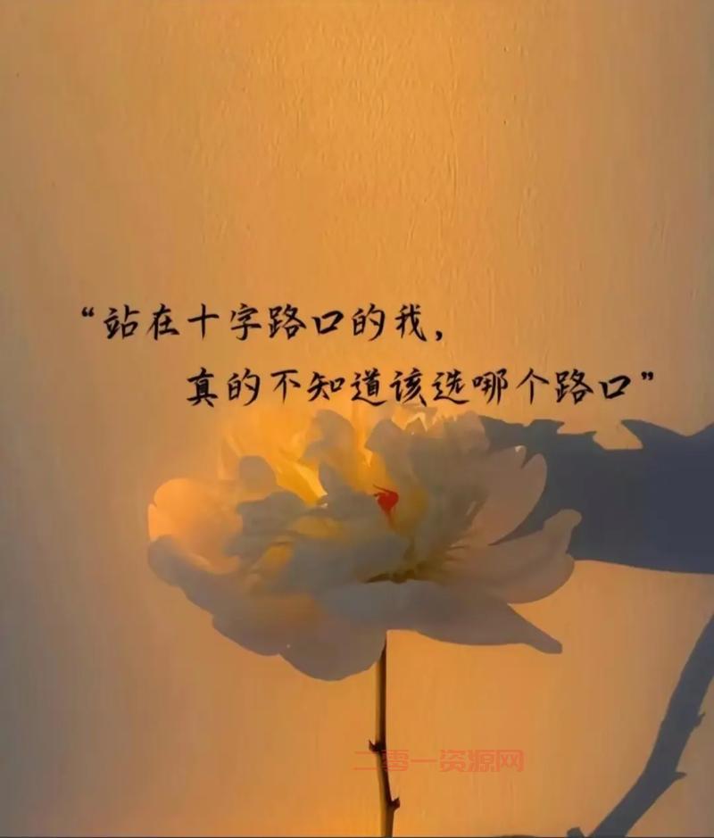 为什么说鱼与熊掌不可兼得是正相关?原因其实很简单!