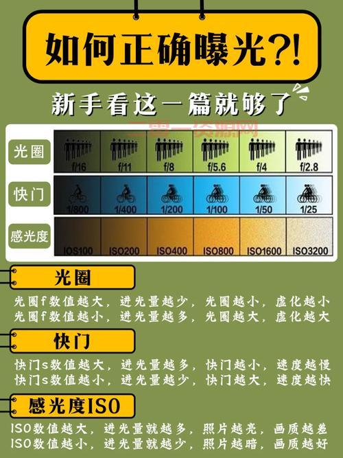 最新手机刷钻教程分享，简单几步教你快速获取！