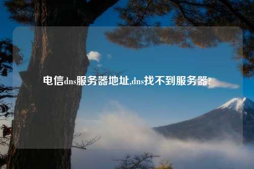 电信dns服务器地址,dns找不到服务器?