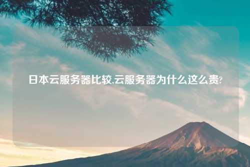 日本云服务器比较,云服务器为什么这么贵?