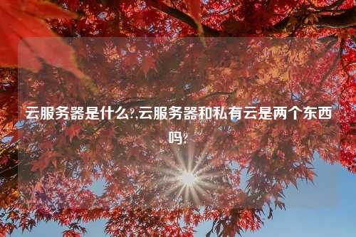 云服务器是什么?,云服务器和私有云是两个东西吗?