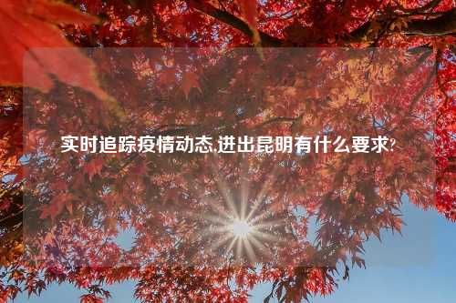 实时追踪疫情动态,进出昆明有什么要求?