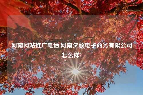 河南网站推广电话,河南夕颜电子商务有限公司怎么样?