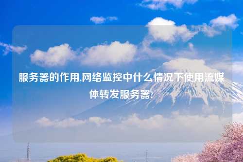 服务器的作用,网络监控中什么情况下使用流媒体转发服务器?
