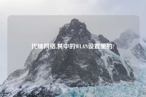 代理网络,其中的WLAN设置里的?