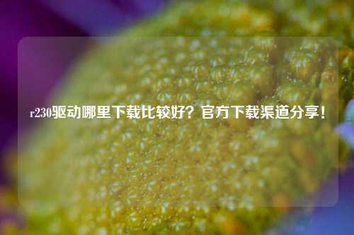 r230驱动哪里下载比较好？官方下载渠道分享！