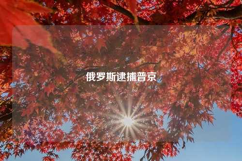 俄罗斯逮捕普京