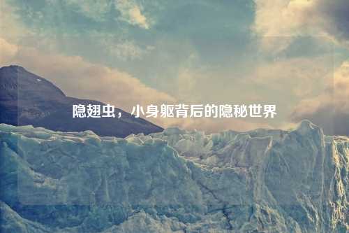 隐翅虫，小身躯背后的隐秘世界