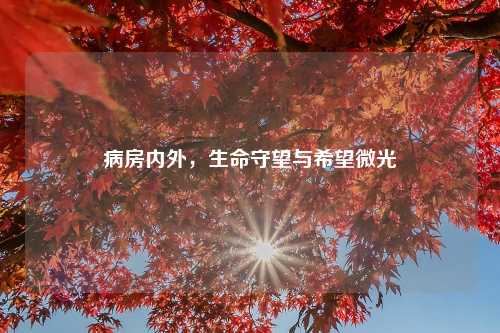 病房内外，生命守望与希望微光
