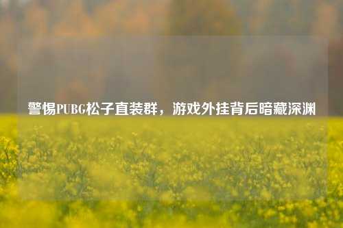 警惕PUBG松子直装群，游戏外挂背后暗藏深渊