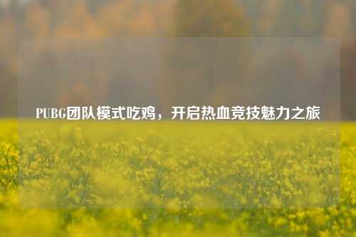 PUBG团队模式吃鸡，开启热血竞技魅力之旅
