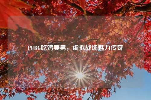 PUBG吃鸡美男，虚拟战场魅力传奇