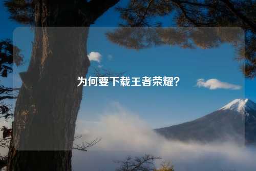 为何要下载王者荣耀？