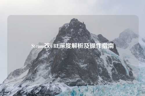 Steam改URL深度解析及操作指南