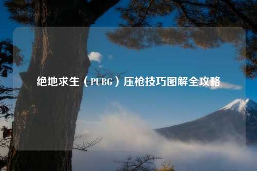 绝地求生（PUBG）压枪技巧图解全攻略