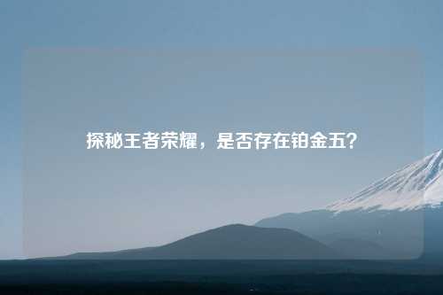 探秘王者荣耀，是否存在铂金五？