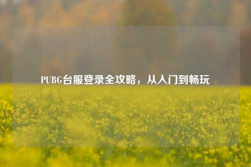 PUBG台服登录全攻略，从入门到畅玩