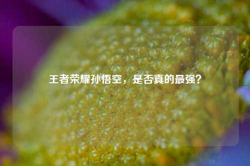 王者荣耀孙悟空，是否真的最强？