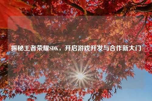 探秘王者荣耀SDK，开启游戏开发与合作新大门