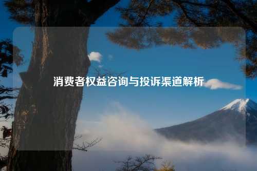 消费者权益咨询与投诉渠道解析