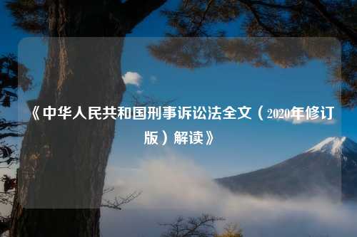 《中华人民共和国刑事诉讼法全文（2020年修订版）解读》