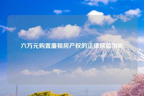 六万元购置廉租房产权的法律风险剖析