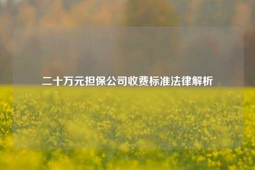二十万元担保公司收费标准法律解析