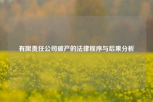 有限责任公司破产的法律程序与后果分析