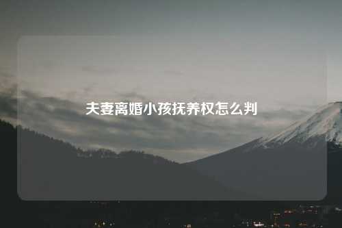 夫妻离婚小孩抚养权怎么判